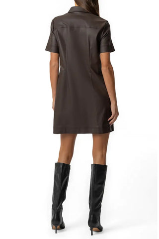 Chocolate Tatiana Dress