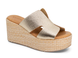 Jamie Sandal, Gold