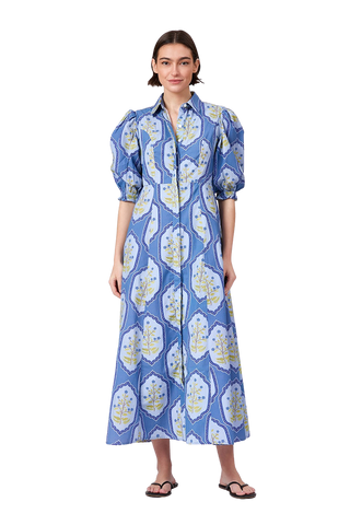 Rosie Shirtdress, Dusty Trellis