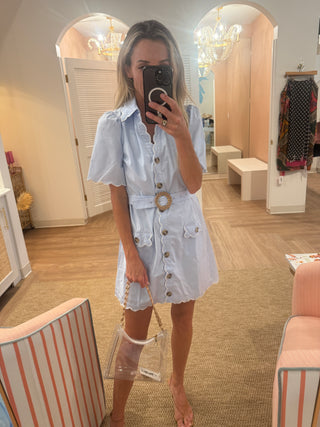 Blue Poppy Dress