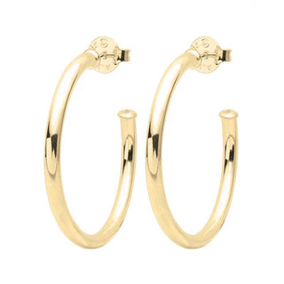 Shiny Small Everybody's Favorite Hoops