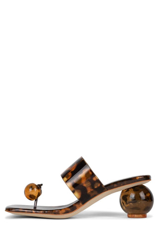 Latus, Tortoise